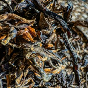 Black Tea - Yunnan Gold  雲南毛尖純紅茶